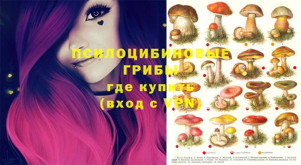 бошки Елизово