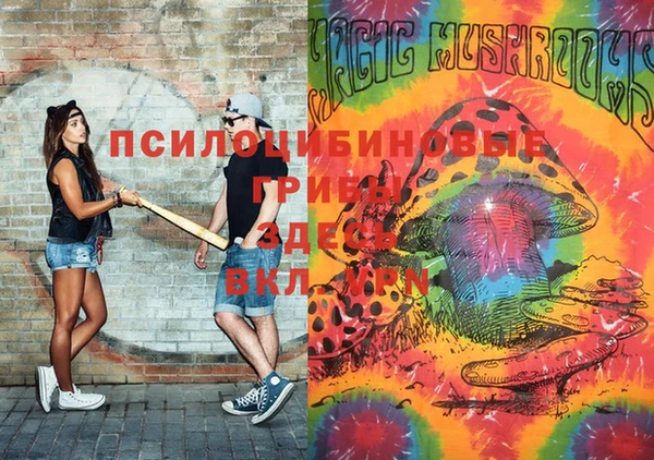 марки nbome Ельня