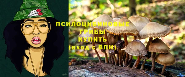 бошки Елизово